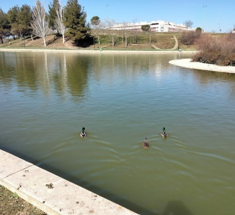 Image of Parque de las Comunidades park in Parla, Madrid, Spain Image of Parque de las Comunidades park in parla, madrid, spain