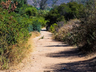 Image of Damon Lane County Park park in El Cajon, California, United States Image of Damon Lane County Park park in el-cajon, california, united-states