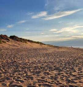 Image of Blooming Point Beach park in Mount Stewart, Prince Edward Island, Canada Image of Blooming Point Beach park in mount-stewart, prince-edward-island, canada