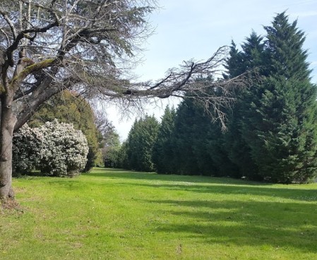 Image of Domaine du Loret park in Cenon, Gironde, France Image of Domaine du Loret park in cenon, gironde, france
