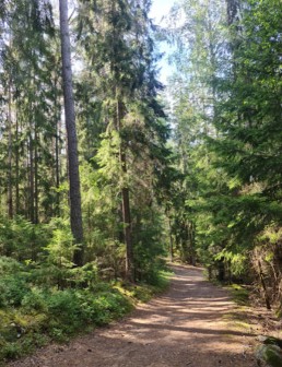 Image of Marvikarnas Nature reserve park in Krampan, Södermanland County, Sweden Image of Marvikarnas Nature reserve park in krampan, sodermanland-county, sweden