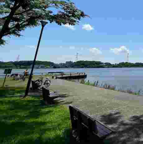 Image of 手賀沼公園 park in Abiko, Chiba, Japan Image of 手賀沼公園 park in abiko, chiba, japan