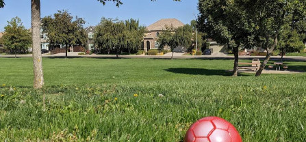 Image of Robert Kellogg Park park in Tracy, California, United States Image of Robert Kellogg Park park in tracy, california, united-states