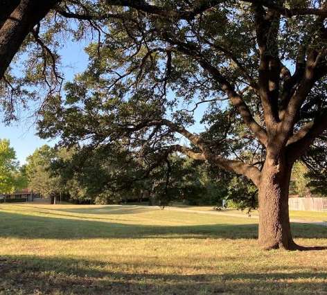 Image of Wedgwood Park park in Fort Worth, Texas, United States Image of Wedgwood Park park in fort-worth, texas, united-states