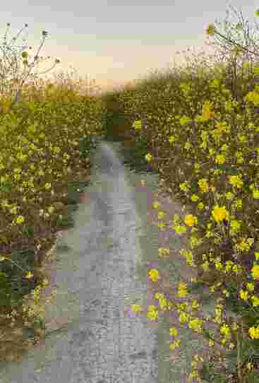 Image of South Adobe Creek Loop Trailhead park in Palo Alto, California, United States Image of South Adobe Creek Loop Trailhead park in palo-alto, california, united-states