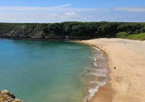 Image of Barafundle Bay Beach park in Pembroke, Wales, United Kingdom Image of Barafundle Bay Beach park in pembroke, wales, united-kingdom