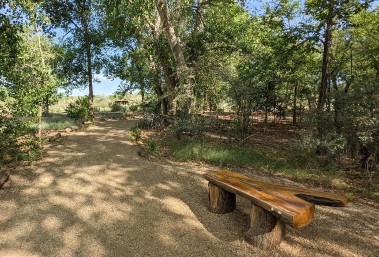 Image of Bachechi Open Space park in Albuquerque, New Mexico, United States Image of Bachechi Open Space park in albuquerque, new-mexico, united-states
