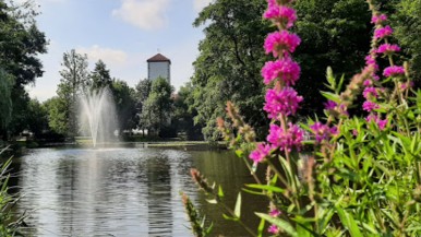 Image of Schlosspark am Schlossteich Farnroda park in Wutha-Farnroda, Thuringia, Germany Image of Schlosspark am Schlossteich Farnroda park in wutha-farnroda, thuringia, germany