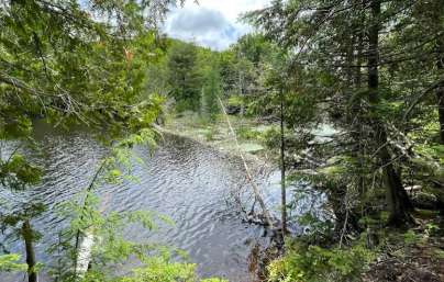 Image of Parc régional de Kilkenny park in Saint-Calixte, Quebec, Canada Image of Parc régional de Kilkenny park in saint-calixte, quebec, canada