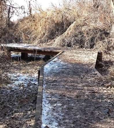 Image of Wadman Nature Park park in Pleasant View, Tennessee, United States Image of Wadman Nature Park park in pleasant-view, tennessee, united-states