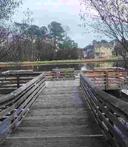Image of Seagroves Farm Park park in Apex, North Carolina, United States Image of Seagroves Farm Park park in apex, north-carolina, united-states