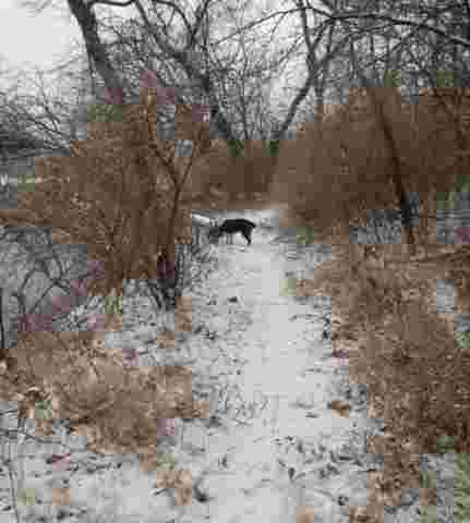 Image of South Arkansas River Greenway - Canoe Access park in Wichita, Kansas, United States Image of South Arkansas River Greenway - Canoe Access park in wichita, kansas, united-states