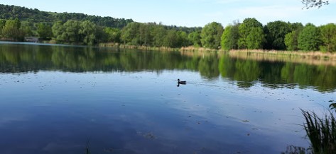 Image of Donau Park park in Regensburg, Bayern, Germany Image of Donau Park park in regensburg, bayern, germany