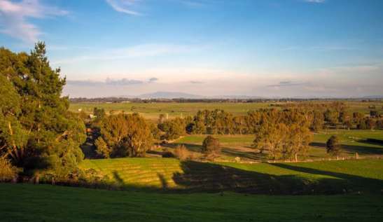 Image of Till’s Lookout park in Dinsdale, Waikato Region, New Zealand Image of Till’s Lookout park in dinsdale, waikato-region, new-zealand