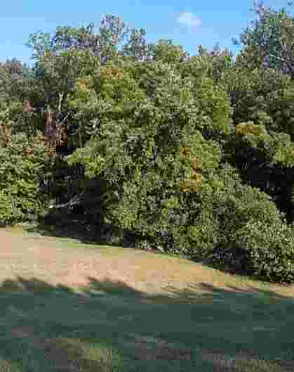 Image of Scarborough creek park in Chesterfield, Michigan, United States Image of Scarborough creek park in chesterfield, michigan, united-states