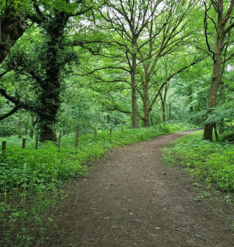 Image of Trentham Park park in Stafford, England, United Kingdom Image of Trentham Park park in stafford, england, united-kingdom