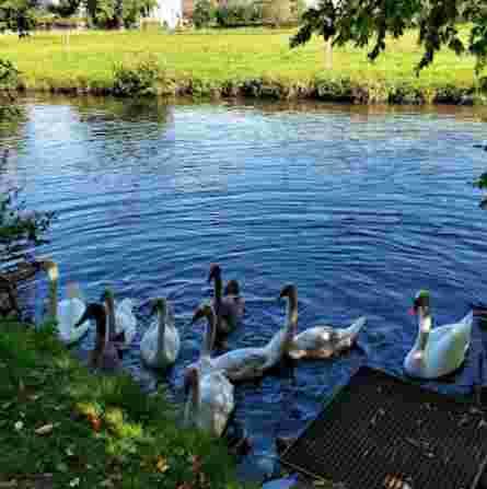 Image of Minicamping Königsbronn park in Konigsbronn, Baden-Wurttemberg, Germany Image of Minicamping Königsbronn park in konigsbronn, baden-wurttemberg, germany