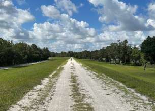 Image of Wilderness Park Trout Creek Site park in Thonotosassa, Florida, United States Image of Wilderness Park Trout Creek Site park in thonotosassa, florida, united-states