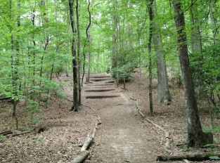 Image of Crows Woods Trails park in Haddonfield, New Jersey, United States Image of Crows Woods Trails park in haddonfield, new-jersey, united-states