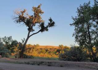 Image of Tilman Bishop State Wildlife Area park in Palisade, Colorado, United States Image of Tilman Bishop State Wildlife Area park in palisade, colorado, united-states