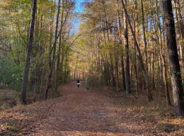 Image of Al Buehler Trail Parking park in Durham, New Hampshire, United States Image of Al Buehler Trail Parking park in durham, new-hampshire, united-states