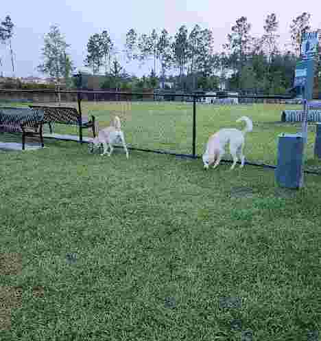 Image of Pawsome Park (Tributary-Residents Only) park in Yulee, Florida, United States Image of Pawsome Park (Tributary-Residents Only) park in yulee, florida, united-states