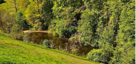 Image of Naturpark Lauenburgische Seen park in Ratzeburg, Schleswig-Holstein, Germany Image of Naturpark Lauenburgische Seen park in ratzeburg, schleswig-holstein, germany