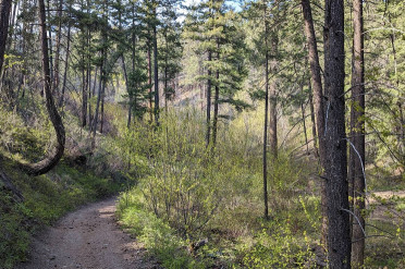 Image of Flume Trail trailhead park in West Kelowna, British Columbia, Canada Image of Flume Trail trailhead park in west-kelowna, british-columbia, canada