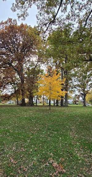 Image of Weisser Park park in Fort Wayne, Indiana, United States Image of Weisser Park park in fort-wayne, indiana, united-states