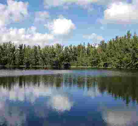 Image of Silver Lakes Rotary Nature Park park in Davie, Florida, United States Image of Silver Lakes Rotary Nature Park park in davie, florida, united-states