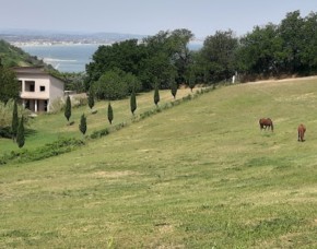 Image of Parco Naturale Monte San Bartolo park in Pesaro, Marche, Italy Image of Parco Naturale Monte San Bartolo park in pesaro, marche, italy