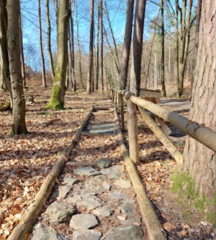 Image of Wildschweinroute park in Neu-Anspach, Hessen, Germany Image of Wildschweinroute park in neu-anspach, hessen, germany