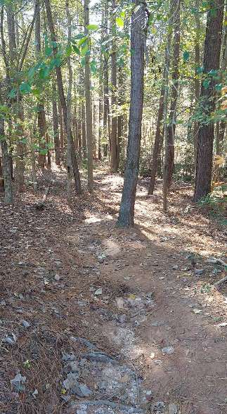 Image of Victor Lord Park park in Winder, Georgia, United States Image of Victor Lord Park park in winder, georgia, united-states
