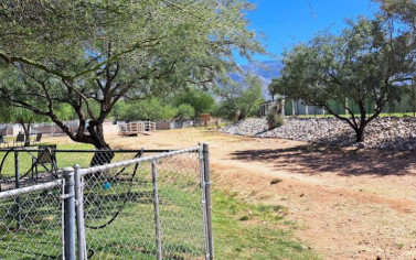 Image of SaddleBrooke Dog Park - Private Community Park park in Tucson, Arizona, United States Image of SaddleBrooke Dog Park - Private Community Park park in tucson, arizona, united-states
