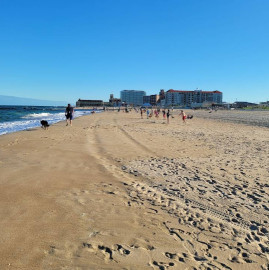 Image of Bradley Cove park in Asbury Park, New Jersey, United States Image of Bradley Cove park in asbury-park, new-jersey, united-states