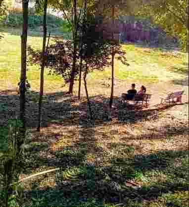 Image of Parchetto Feronia park in Rome, Lazio, Italy Image of Parchetto Feronia park in rome, lazio, italy