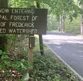 Image of Frederick Municipal Forest park in Frederick, Maryland, United States Image of Frederick Municipal Forest park in frederick, maryland, united-states