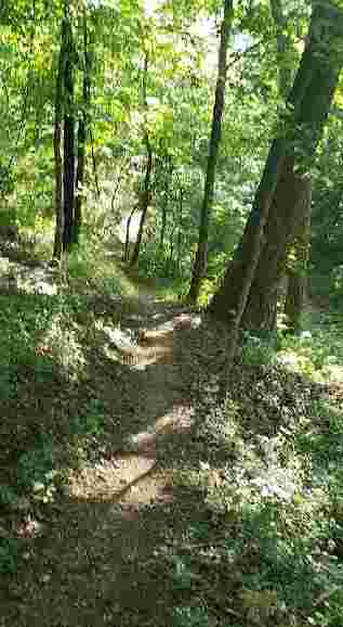 Image of Sager Creek Mountain Bike Trail park in Siloam Springs, Arkansas, United States Image of Sager Creek Mountain Bike Trail park in siloam-springs, arkansas, united-states