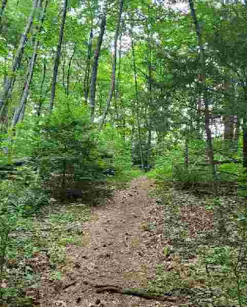 Image of Onion Mountain Park park in Simsbury, Connecticut, United States Image of Onion Mountain Park park in simsbury, connecticut, united-states