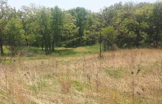 Image of Gander Mountain Forest Preserve park in Antioch, California, United States Image of Gander Mountain Forest Preserve park in antioch, california, united-states
