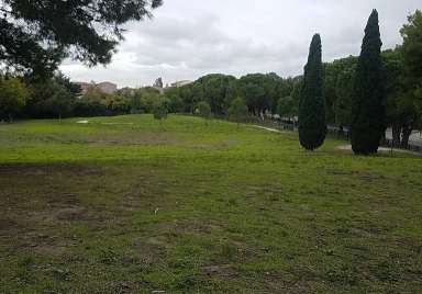 Image of Caniparc park in Avignon, Vaucluse, France Image of Caniparc park in avignon, vaucluse, france