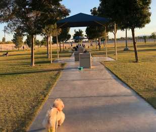 Image of Barkin Basin Park park in Las Vegas, Nevada, United States Image of Barkin Basin Park park in las-vegas, nevada, united-states