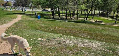 Image of Midlothian Dog Park park in Midlothian, Illinois, United States Image of Midlothian Dog Park park in midlothian, illinois, united-states