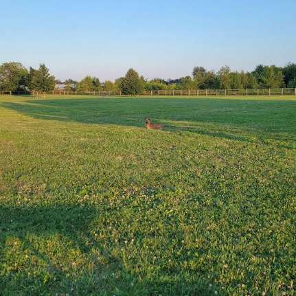 Image of Champaign Bark District park in Champaign, Illinois, United States Image of Champaign Bark District park in champaign, illinois, united-states