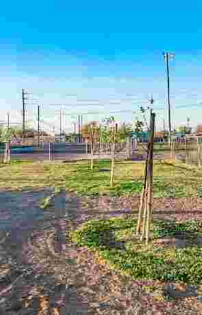 Image of Swarthout park in El Centro, California, United States Image of Swarthout park in el-centro, california, united-states