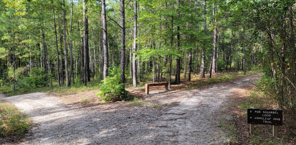Image of Carvers Creek State Park, Sandhills Access park in Fayetteville, Arkansas, United States Image of Carvers Creek State Park, Sandhills Access park in fayetteville, arkansas, united-states