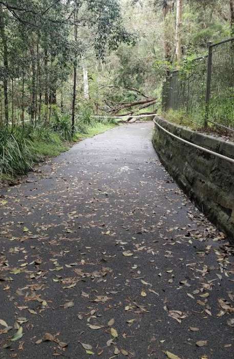 Image of Cadigal Reserve park in Summer Hill, New South Wales, Australia Image of Cadigal Reserve park in summer-hill, new-south-wales, australia