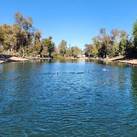 Image of Thankful Tree - Laguna Lake, Fullerton, CA park in Fullerton, California, United States Image of Thankful Tree - Laguna Lake, Fullerton, CA park in fullerton, california, united-states