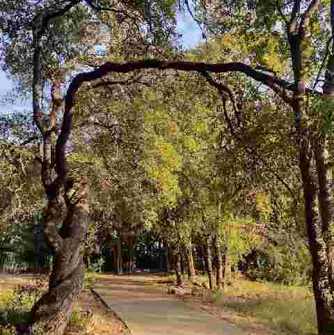 Image of Stoneview Park park in Round Rock, Texas, United States Image of Stoneview Park park in round-rock, texas, united-states