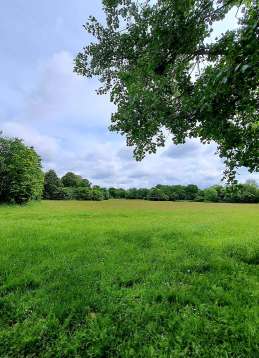 Image of Crabtree Park park in Surrey Heath, England, United Kingdom Image of Crabtree Park park in surrey-heath, england, united-kingdom